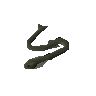 Raw cave eel